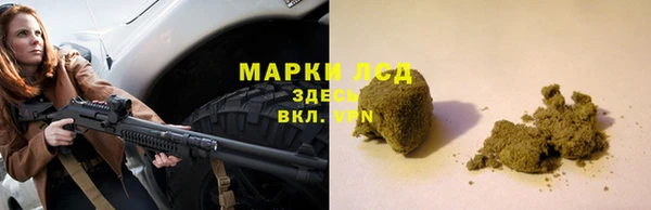 PSILOCYBIN Алзамай