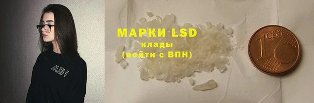 PSILOCYBIN Алзамай