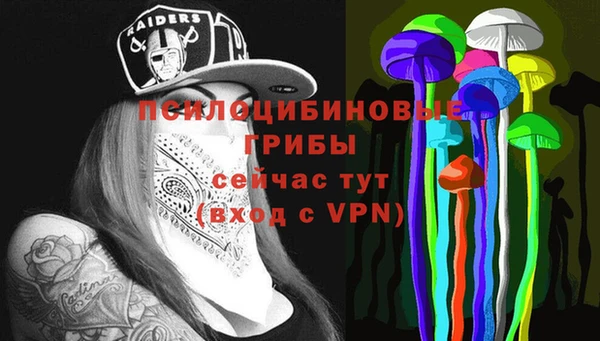 PSILOCYBIN Алзамай
