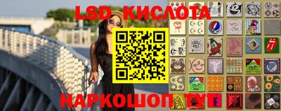 гашик Новодвинск