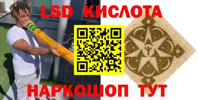 гашик Новодвинск