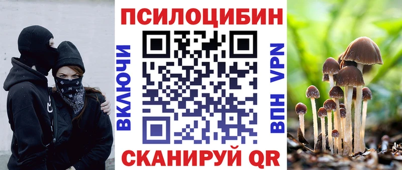 даркнет наркотические препараты  Туймазы  Галлюциногенные грибы Psilocybine cubensis 