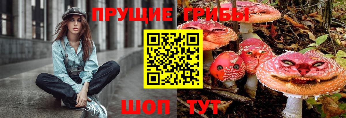 Туймазы  Галлюциногенные грибы Magic Shrooms  Вход с VPN  Псилоцибиновые грибы Psilocybine cubensis 