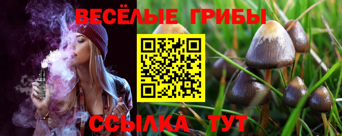 Галлюциногенные грибы мухоморы Туймазы