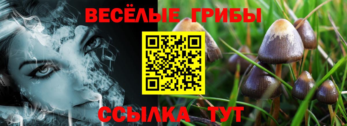 Кокаин  Вход с VPN  Экстази  Alpha-PVP СК   ГАШ  МДМА  Туймазы  Гашиш  КЕТАМИН  Канабис  Меф МЯУ МЯУ кристаллы 